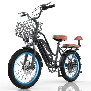 LoonFat T20 Black Adult Ebike 1000W